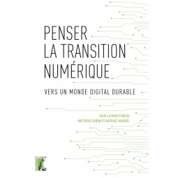 Penser la transition numérique