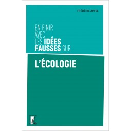 En finir avec les idées...