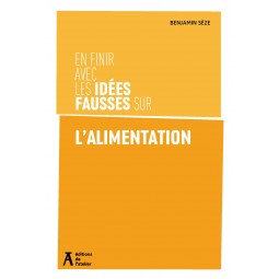 En finir avec les idées...